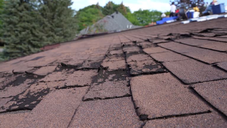 Best Asphalt Shingle Roofing  in USA